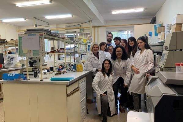 Foto de Plants Biofactory: Production of Bioactive Compounds and Proteins Related to Plant Defense